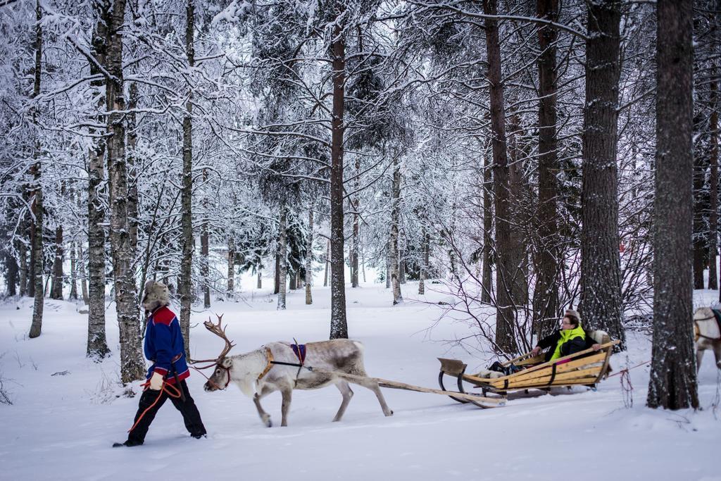 Lapland Igloo Hotel Ranua Zewnętrze zdjęcie