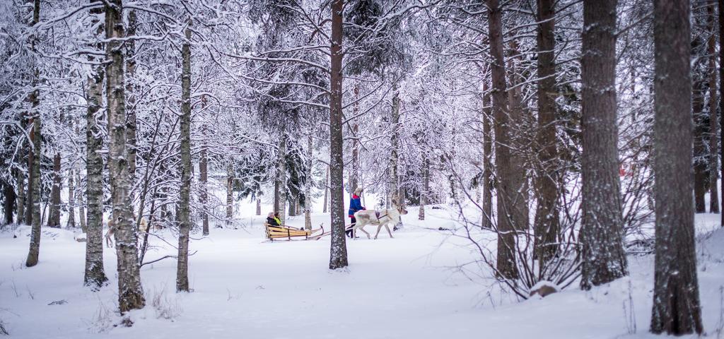 Lapland Igloo Hotel Ranua Zewnętrze zdjęcie