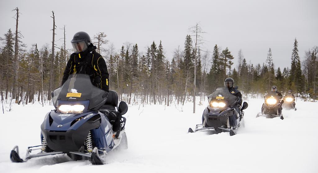 Lapland Igloo Hotel Ranua Zewnętrze zdjęcie