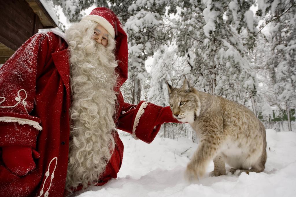 Lapland Igloo Hotel Ranua Zewnętrze zdjęcie